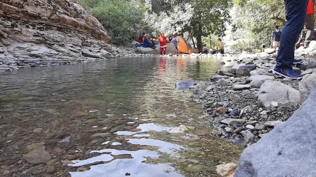 چال ماهی