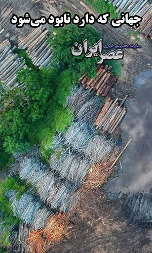 بیش از ۱۰ منطقه مهم جهان که به زودی محو می‌شوند/ ایران هم در امان نخواهد بود (فیلم)