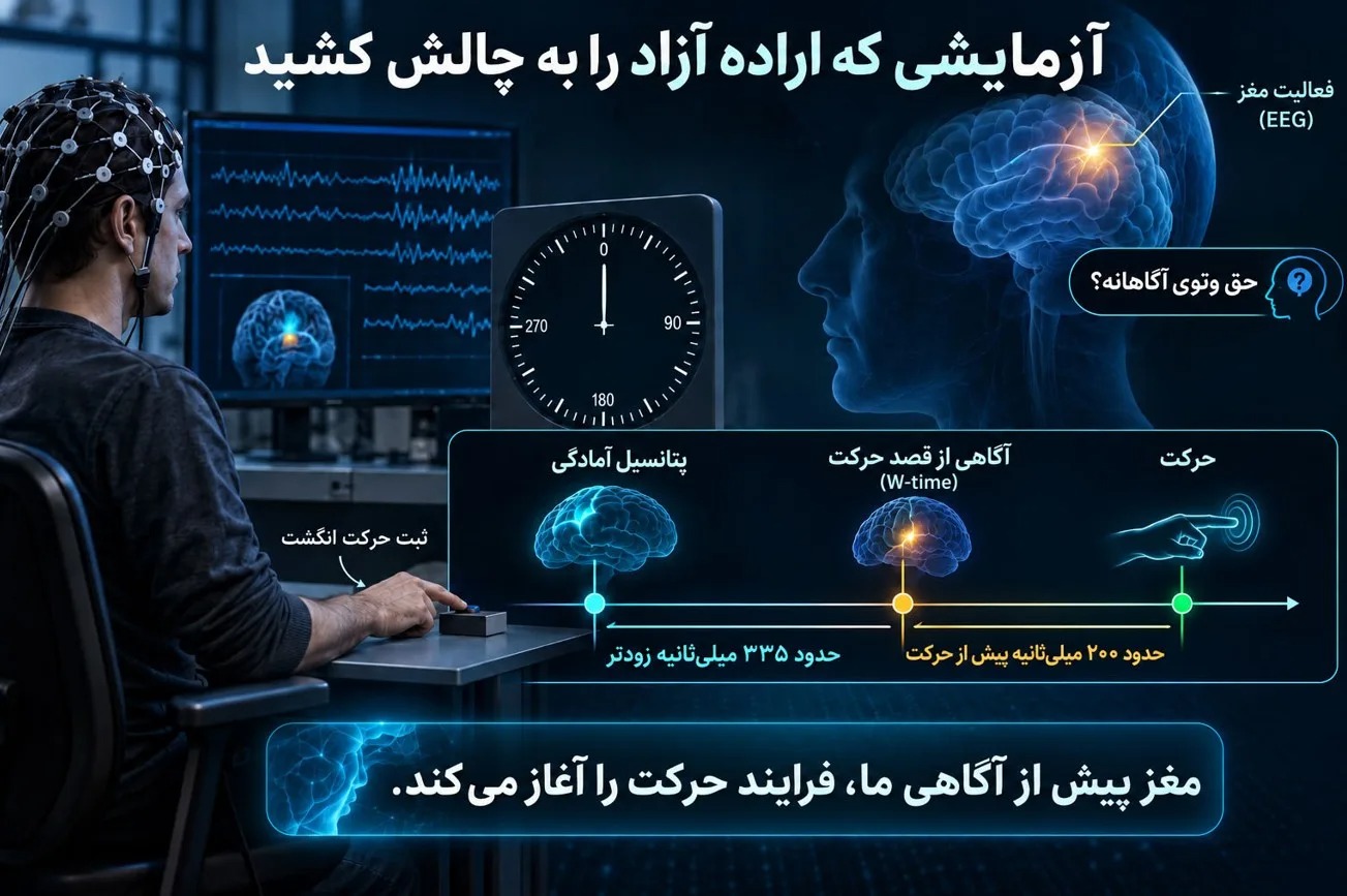 مغز قبل از شما تصمیم میگیرد. مغز قبل از شما تصمیم میگیرد.