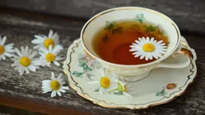 طرز تهیه دمنوش گل مینا ، بهترین زمان مصرف