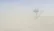 تعطیلی ادارات ۵ شهرستان منطقه سیستان در پی هشدار سطح نارنجی هواشناسی