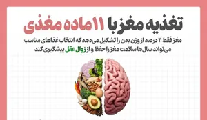 تغذیه مغز با ۱۱ ماده مغذی (اینفوگرافیک)