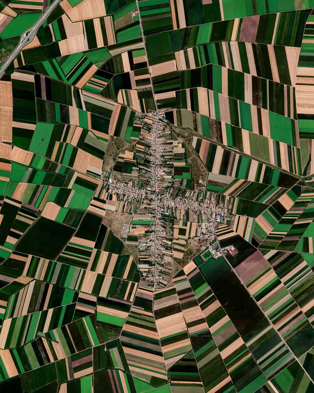 093346 093346