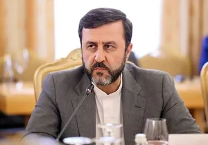 غریب‌آبادی: تعرض به میراث فرهنگی ایران را پیگیری می‌کنیم