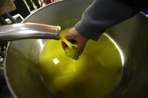 رئیس اتاق اصناف تهران: روغن مورد نیاز کشور تأمین شده است