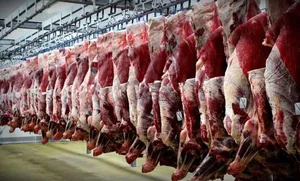 عامریان: احتمال کاهش قیمت گوشت با افزایش واردات