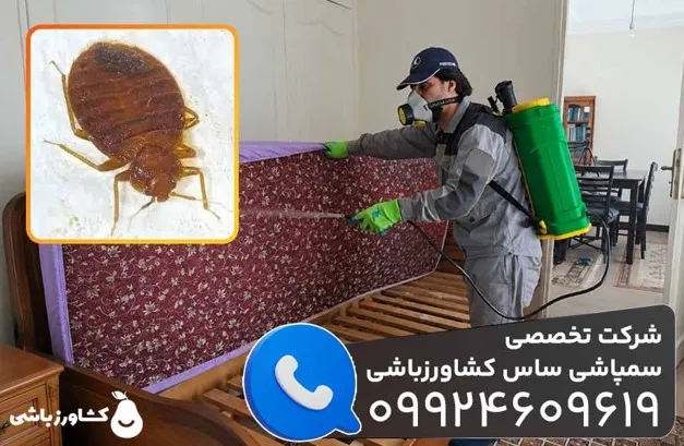 شرکت سمپاشی ساس