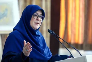 سخنگوی دولت در برنامه من ایرانم: از همسایه هایم بابت نگرانی هایشان معذرت می‌خواهم!