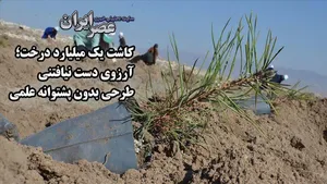 کاشت یک میلیارد درخت طرح نیست یک رویاست/ آیا مطالعه‌ کاملی برای تحقق آن شده‌است؟ (فیلم)
