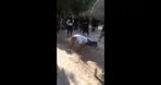 سبک ورزش صبحگاهی مرد ۷۰ ساله ایرانی جهانی شد