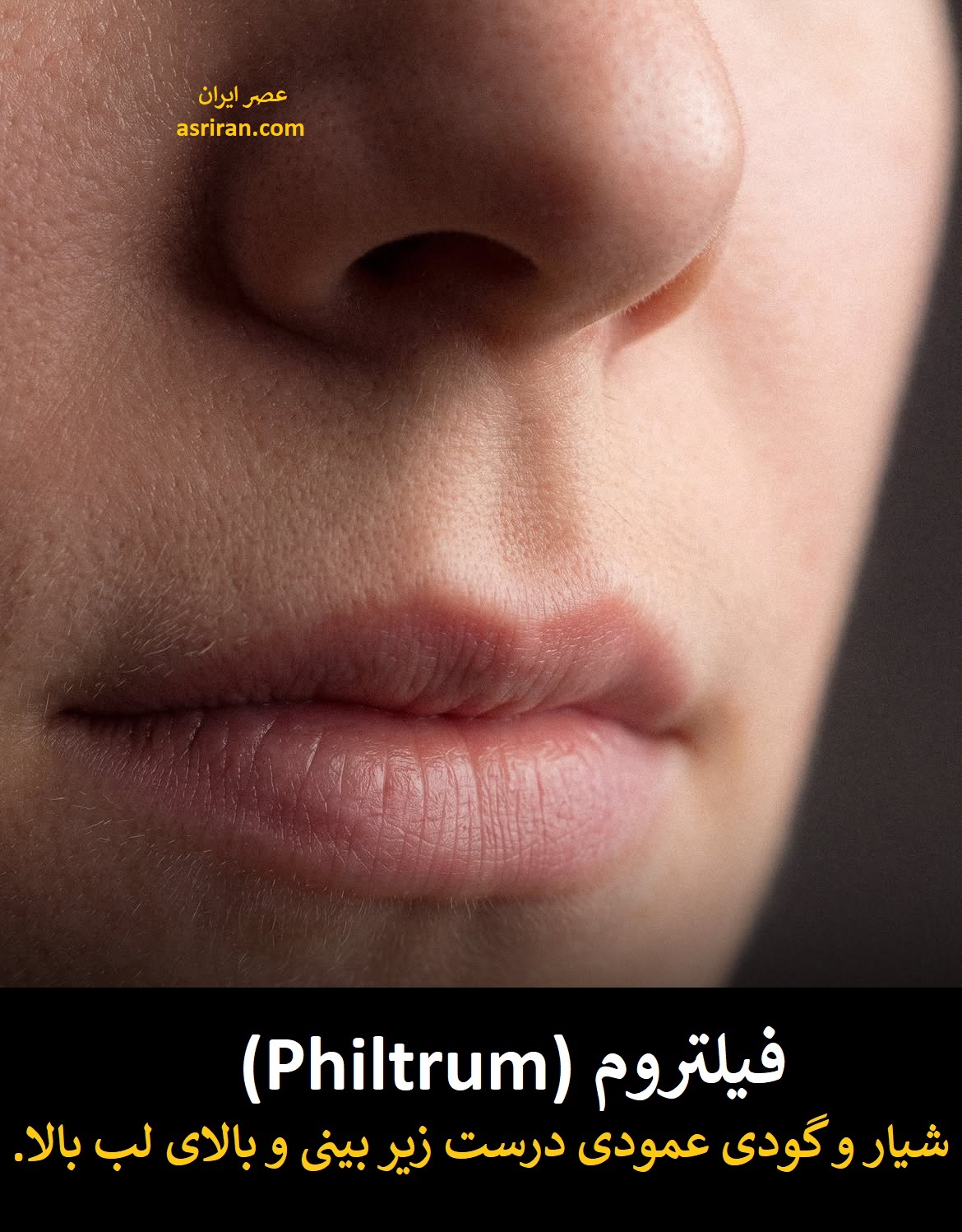وقتی برای ساده ترین چیزهای دنیا هم اسم گذاشته اند! (12 واژه ناگفته انگلیسی) 5
