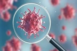 هانتاویروس جدید نیست / نگرانی درباره همه گیری وجود ندارد