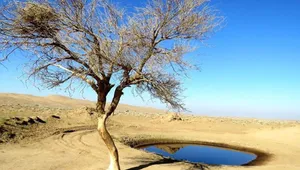 انتشار پیش‌نویس نرخ‌نامه جدید وزارت نیرو؛ تعرفه آب زیرزمینی ارزان‌تر از آب سطحی