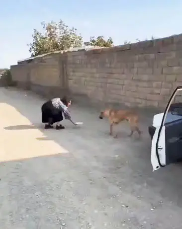 پیج اینستای بلاگر زن به خاطر چه تصاویری مسدود شد؟ (+ عکس) 2