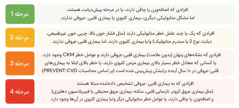 سندرم CKM دارای چهار مرحله است. این مراحل به شناسایی خطر و تدوین استراتژی‌های پیشگیری متناسب برای کند کردن یا حتی معکوس کردن پیشرفت سندرم CKM کمک می‌کنند.