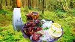 طرز تهیه مرغ لیمویی ترد روی آتش؛ آشپزی آرامش‌بخش در دل طبیعت