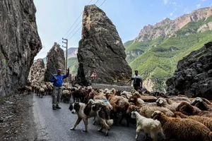 این جاده فردا دوشنبه به مدت ۱۵ ساعت مسدود است