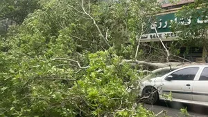 طوفان ۹۰ کیلومتری در تهران؛ هشدار جدی برای فردای پایتخت