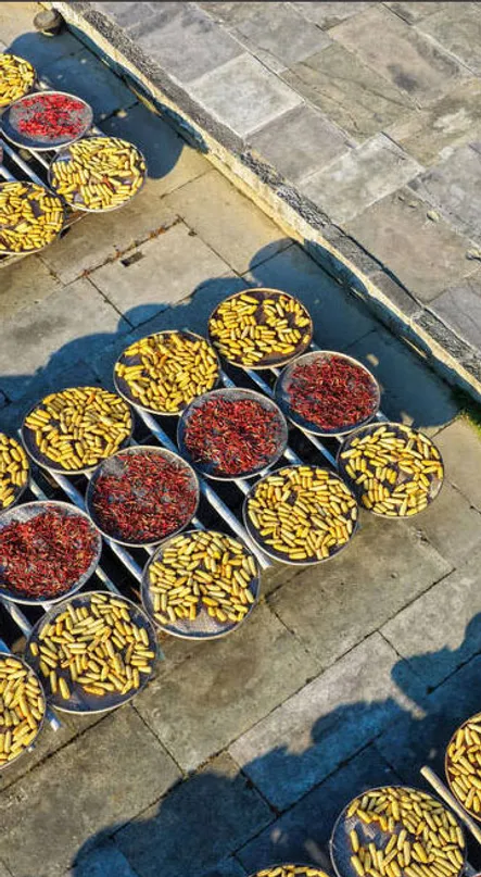 دیدنی های امروز؛ از پنجاهمین سالمرگ مائو تا چهارمین سالگرد به تخت نشستن پادشاه انگلیس