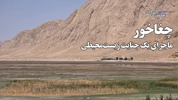 یک تونل، چند چشمه و مرگ یک تالاب / چغاخور ؛ ماجرای یک جنایت زیست‌محیطی