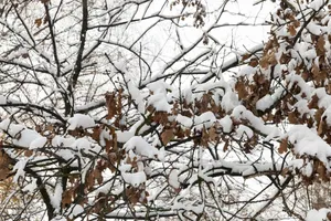 هواشناسی: اصفهان بارانی و برفی می‌شود