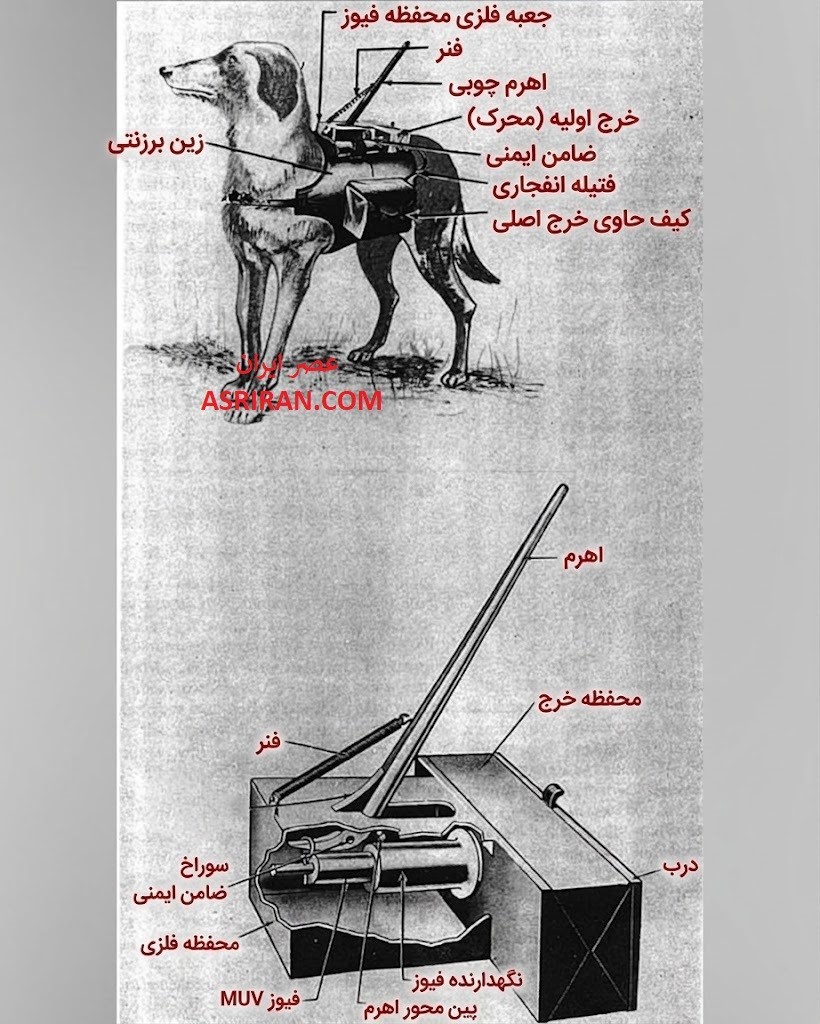وقتی بنزین کار دست شوروی داد! / عملیاتی که سوژه طنز تبلیغات آلمانی ها شد (+عکس) وقتی بنزین کار دست شوروی داد! / عملیاتی که سوژه طنز تبلیغات آلمانی ها شد (+عکس)