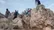 عشایر غیور خوزستان در جستجوی خلبان آمریکایی