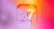 آیفون با سیستم عامل iOS 27 یک خانه تکانی اساسی می‌کند