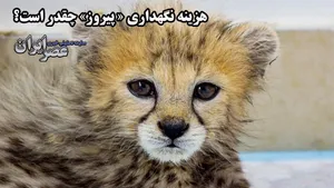 100 میلیون تومان هزینه ماهانه 