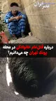 درباره قتل‌عام خانوادگی در محله پونکِ تهران چه می‌دانیم / قاتل دو نفر بودند / یکی از برادرها وقتی فهمید کشته شد