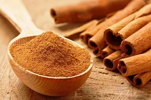 برداشت دارچین؛ از اره مخصوص تا لایه‌برداری (فیلم)