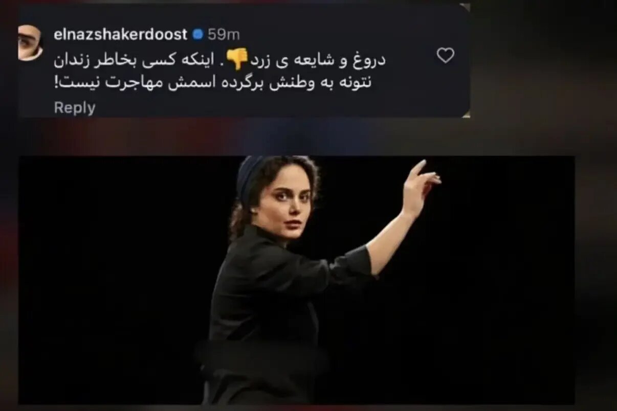 الناز شاکردوست: مهاجرت نکرده ام اما چون برایم حبس بریده اند به ایران برنمی گردم