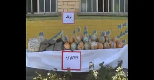 کشف ۷۶۶ کیلوگرم تریاک در تانکر سوخت