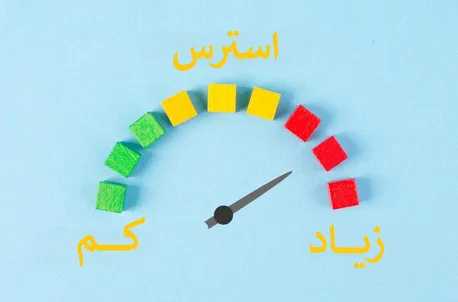 جدیدترین مطالعه 2026: اگر استرس شدید داری، بعد از «این ساعت» وعده شبانه ممنوع است