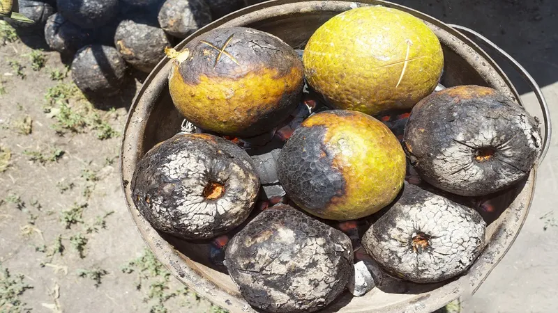 میوه 