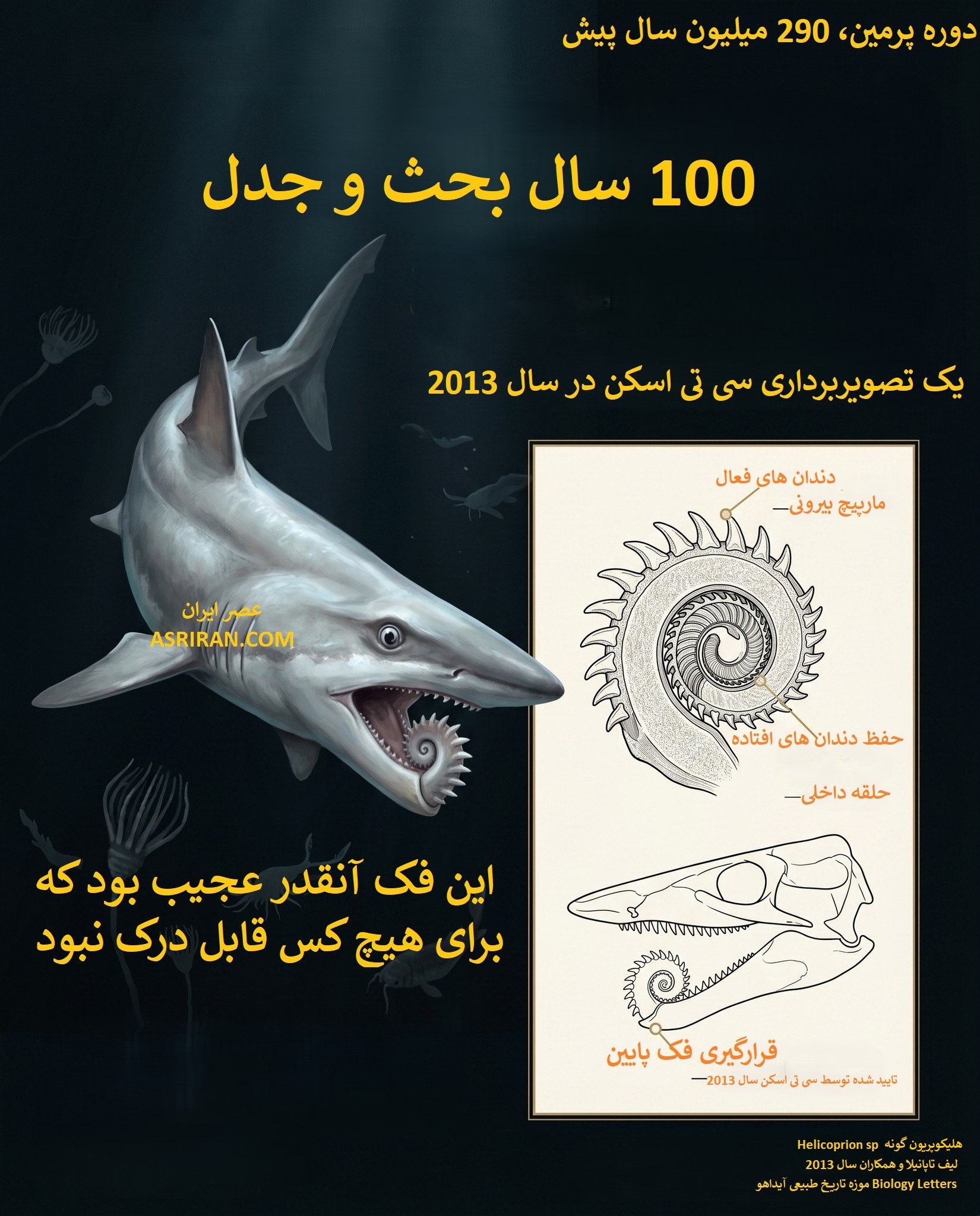 هلیکوپریون یک ماهی غضروفی شبیه کوسه از دوره پرمین، تقریبا 290 تا 250 میلیون سال پیش بود که یک مارپیچ دندان منحصر به فرد داشت؛ شبیه یک اره گردان.