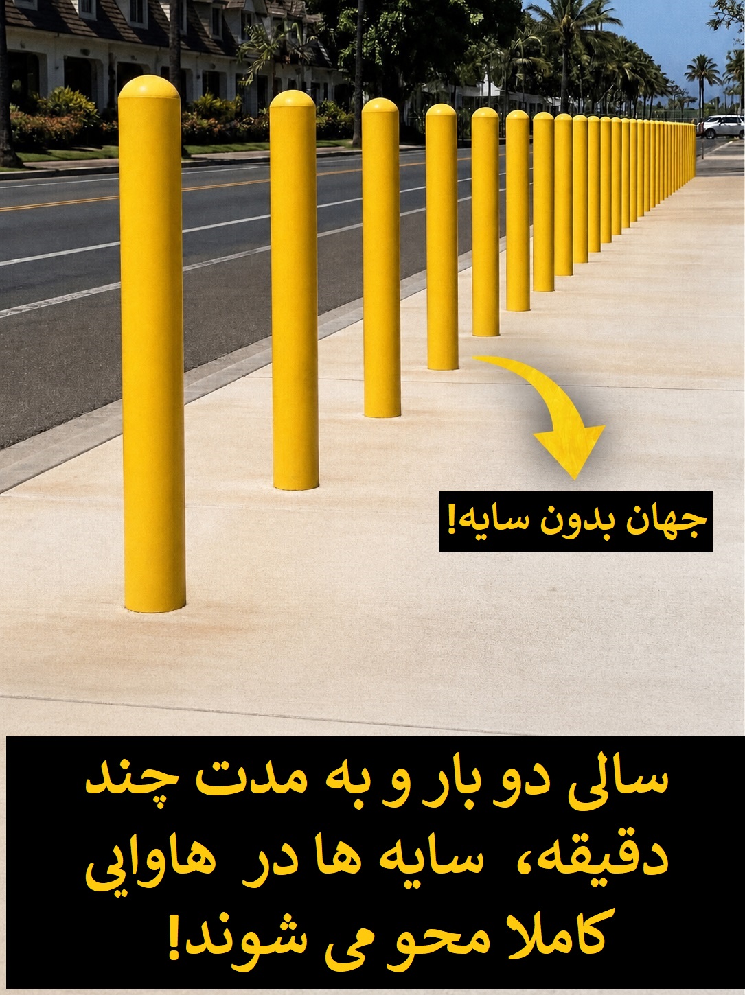 پدیده لاهاینا نون در هاوایی پدیده لاهاینا نون در هاوایی
