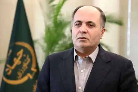 وزیر جهادکشاورزی: گران‌فروشی گسترده کالاهای اساسی نداریم