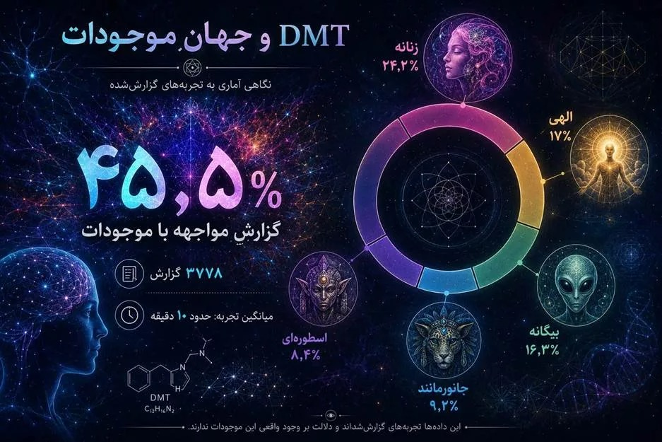 وقتی روانگردانها، بیگانگان و ریاضیات به هم میرسند وقتی روانگردانها، بیگانگان و ریاضیات به هم میرسند