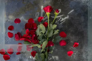 هنرمندان سینما و تئاتری که در ۱۴۰۴ از دنیا رفتند (+عکس)