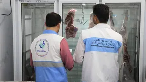 شناسایی و انهدام محموله ۱۴۸۰ کیلوگرمی گوشت قرمز فاسد در قم