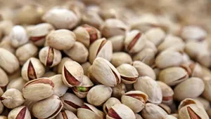 جهش ۲۵۰ درصدی صادرات پسته؛ رشد تولید چای به ۳۰ درصد رسید