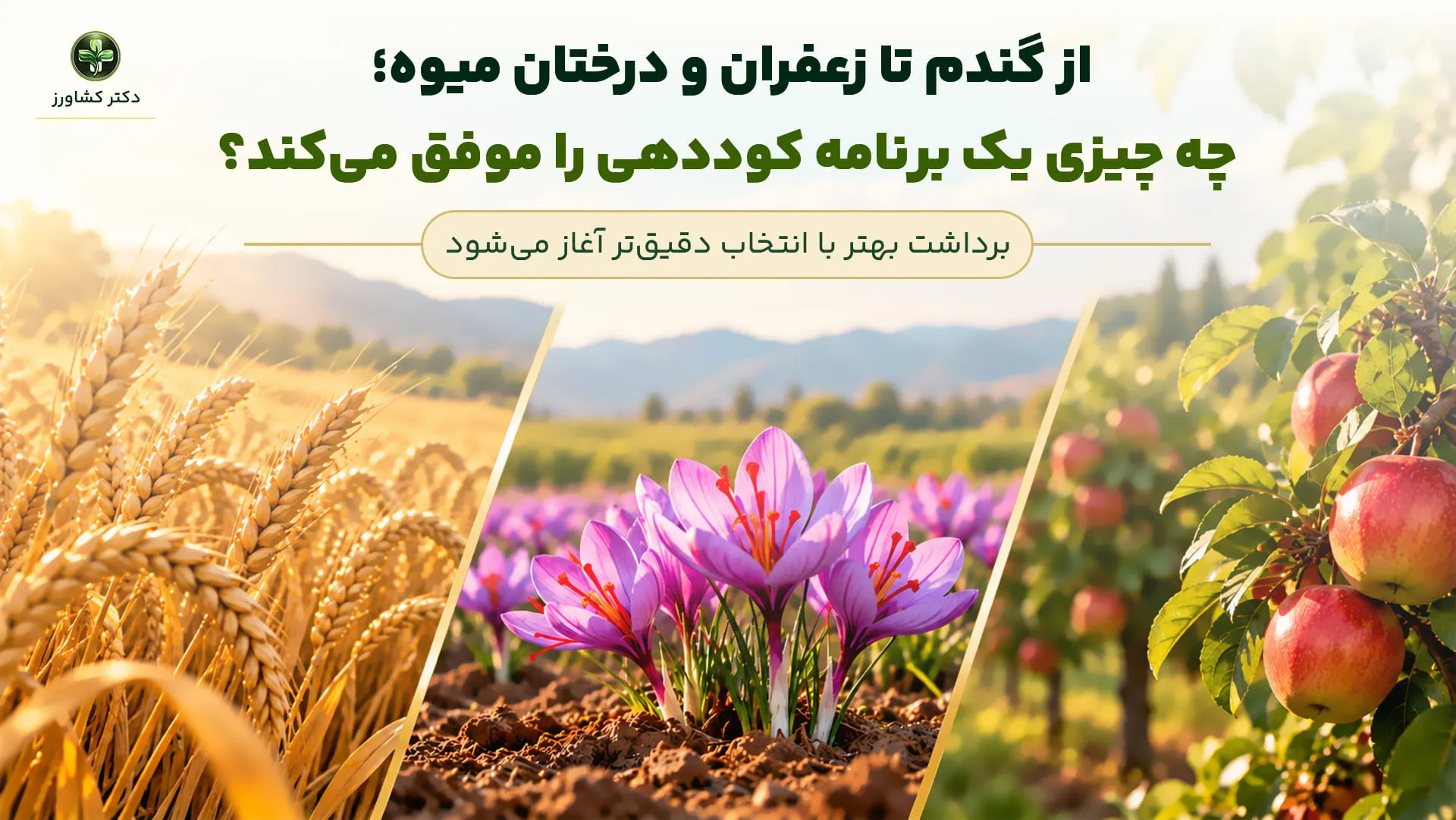 کود خوب