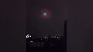 پرنده ناشناس در آسمان تهران، توجه‌ها را به خود جلب کرد!