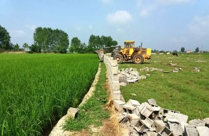 دستگیری چهار نفر در پرونده فساد جهاد کشاورزی کلاردشت مازندران دستگیری چهار نفر در پرونده فساد جهاد کشاورزی کلاردشت مازندران