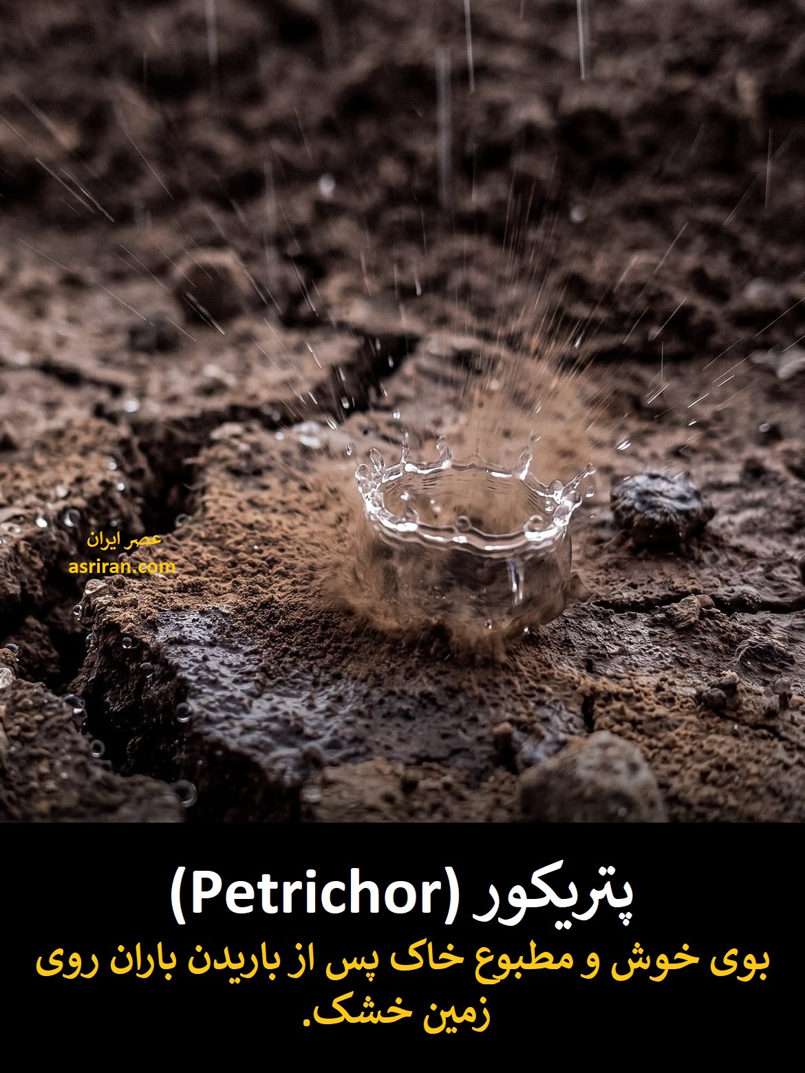 وقتی برای ساده ترین چیزهای دنیا هم اسم گذاشته اند! (12 واژه ناگفته انگلیسی) 11