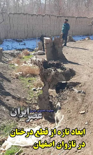قطع درختان در ناژوان دروغ نیست / تحقیق میدانی عصر ایران از برش درختان در تنفس‌گاه اصفهان / چه کسی درختان ناژوان را قطع می‌کند؟ (فیلم)