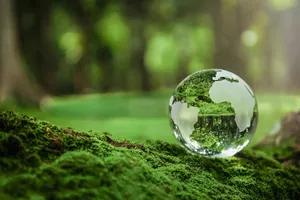 راهکار‌هایی برای نگهداری از محیط زیست (فیلم)