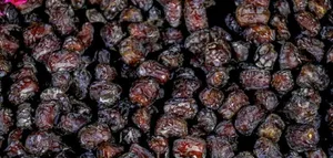 نقش خرما در بهبود عملکرد سیستم گوارشی