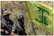 ۲۴ عملیات نظامی حزب‌الله لبنان در یک روز
